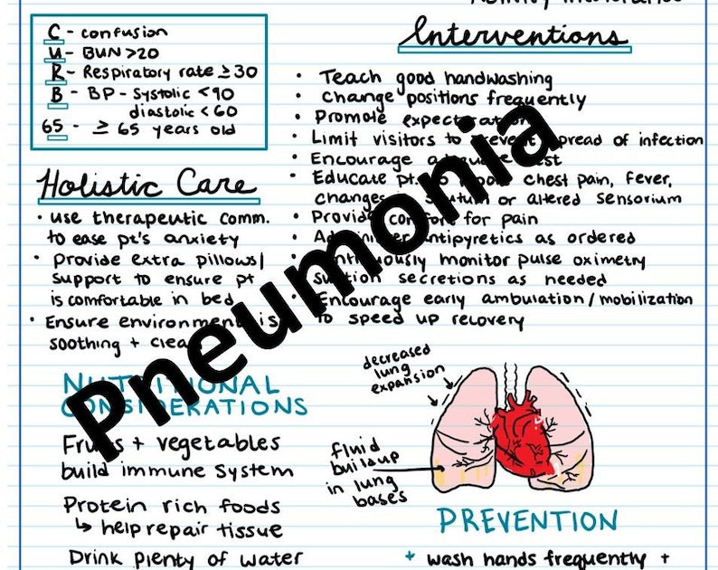 Pneumonia Study Guide and Care Plan Etsy