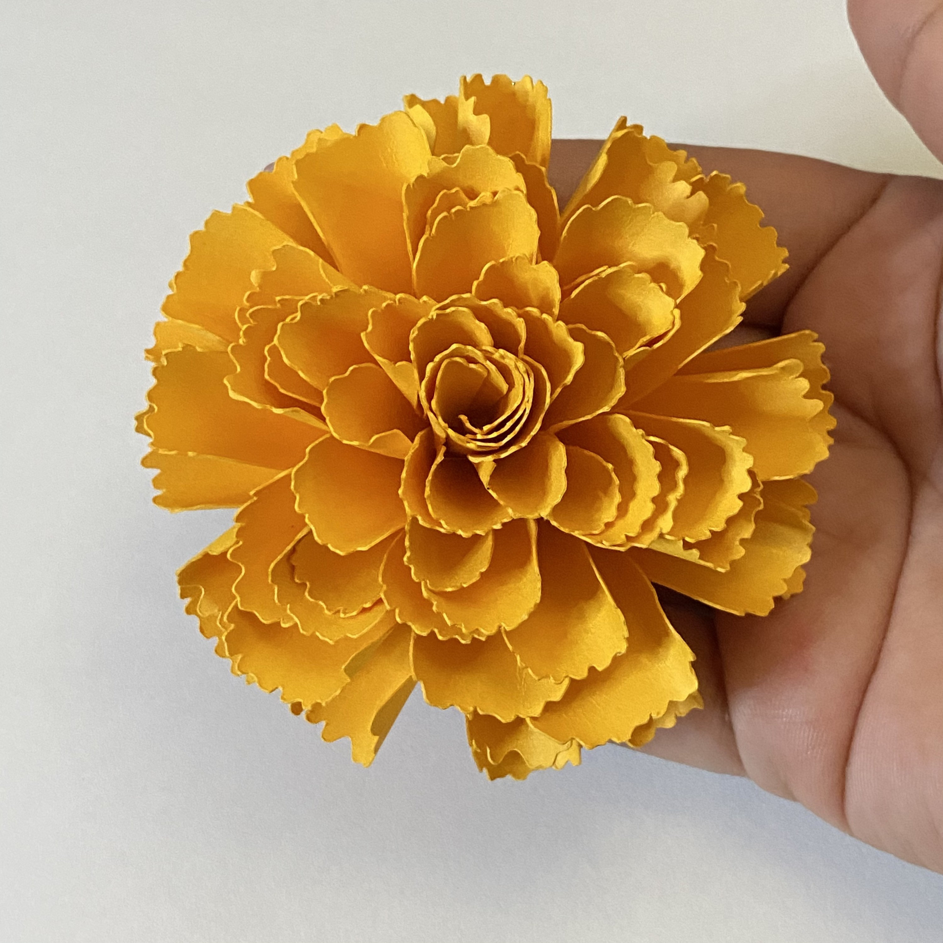 Marigold Flower SVG Cut File / Flor De Muerto / Cempasuchil / Day