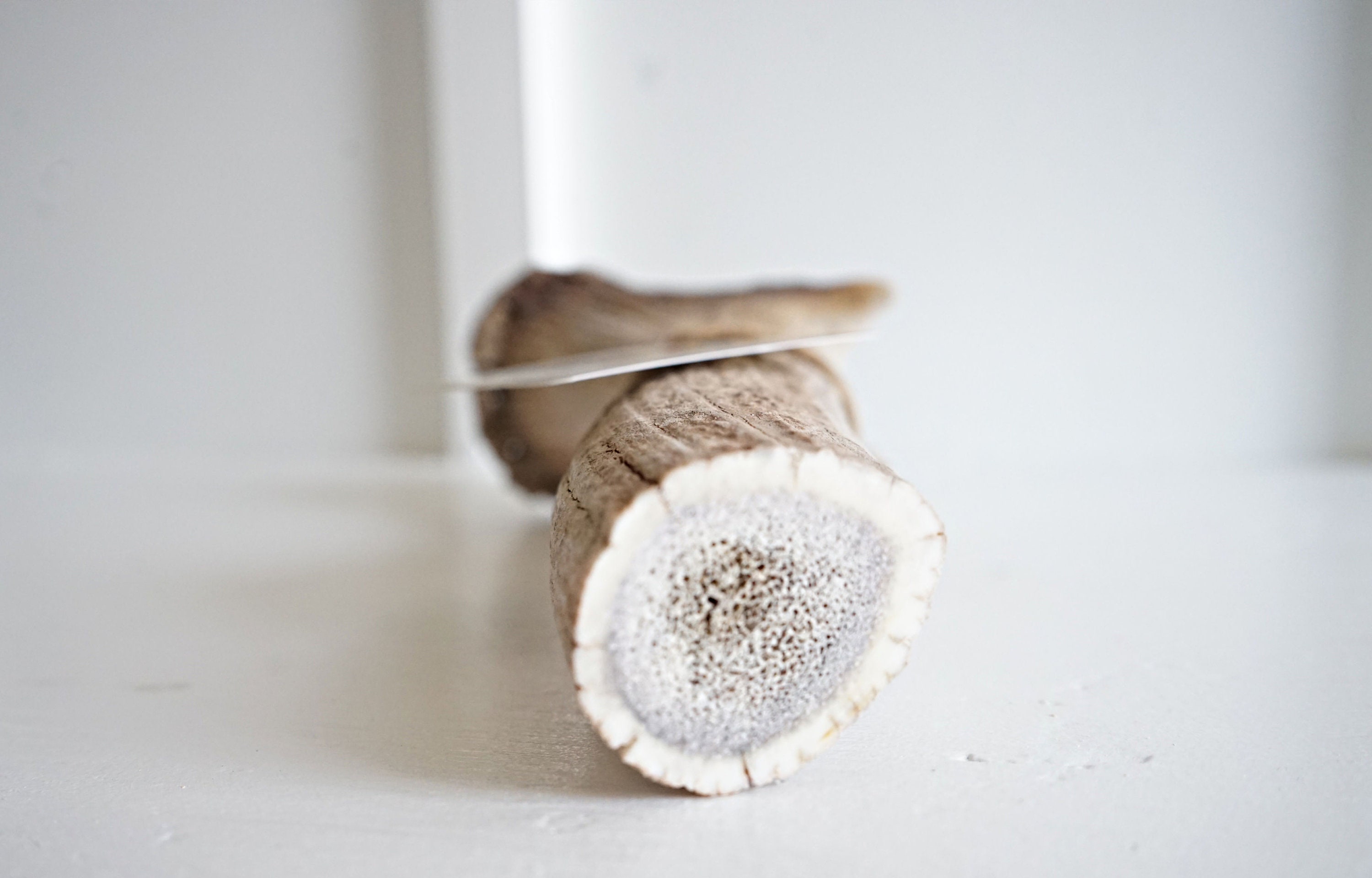 Antler Powder for Dogs. 8 Ounces.antler Meal. Deer Powder. Elk Etsy