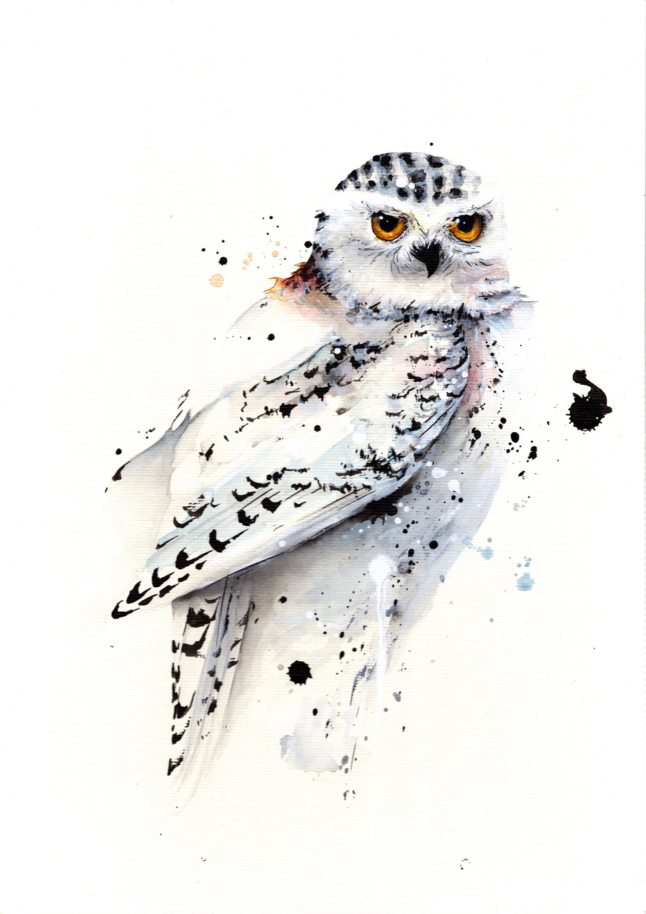 Snowy Owl