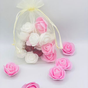 Sheer Organza Favor Bags 6x9&quot;: Wedding, Party, Jewelry Pouches