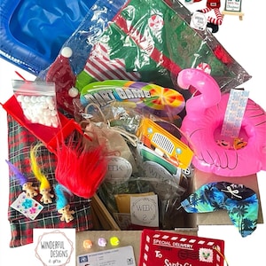 May include: A holiday activity kit containing a blue inflatable pool, a dart game, three small troll dolls with colorful hair, a pink inflatable flamingo, a red felt envelope labeled Special Delivery to Santa Claus, and various labeled weekly packets.