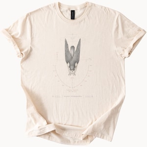 May include: A cream-colored short-sleeve t-shirt featuring a detailed black and white illustration of a peregrine falcon in a diving position. The graphic includes technical diagrams, coordinate markings, and the text Falco Peregrinus.
