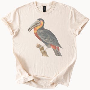 Toucans T Shirt Tropical Bird Graphic Tee Exotic Animal Lover Gift Nature Inspired Clothing