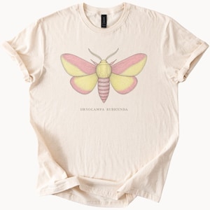 May include: A cream-colored short-sleeve t-shirt featuring a central graphic of a moth with yellow and pink wings and a pink body. Below the moth, the text DRYOCAMPA RUBICUNDA is printed in a simple, dark, sans-serif font on the chest area.