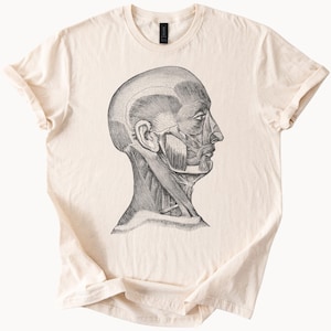 Anatomical Head Muscles Diagram Shirt Science Human Anatomy Medical Illustration Tee Unique Biology Graphic Drawing T Shirt