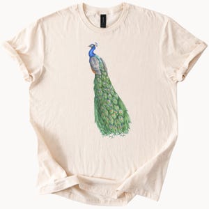 Peacock Graphic T Shirt Colorful Bird Art Tee Nature Animal Lover Shirt Unique Hand Drawn Wildlife Apparel Gift for Her or Him