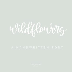 Wildflowers Script, a handwritten script font