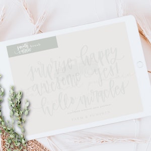 Smooth Cursive, a Procreate Brush - Etsy