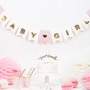 Pink Baby Girl Banner, Pink Baby Shower Banner, It&#39;s a Girl banner, Pink Baby Shower Decorations, Baby Shower Garland, Baby Girl Banner,