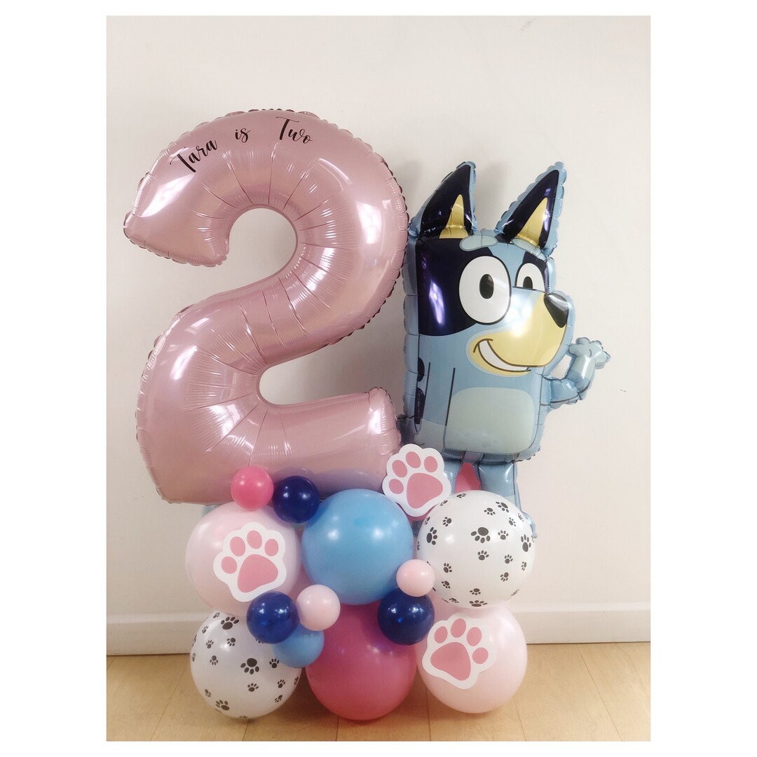 DIY Pink Bluey Balloon Sculpture, Girls Bluey Kids Birthday Balloon ...