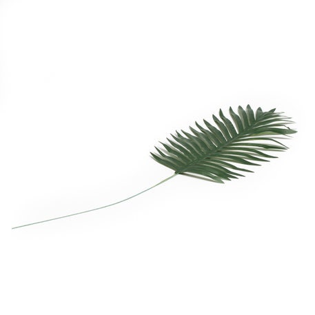 88 Pezzi Di Foglie Di Palma Della Giungla, 8 Tipi Di Foglie Di Monstera Tropicali Finte~p148973956