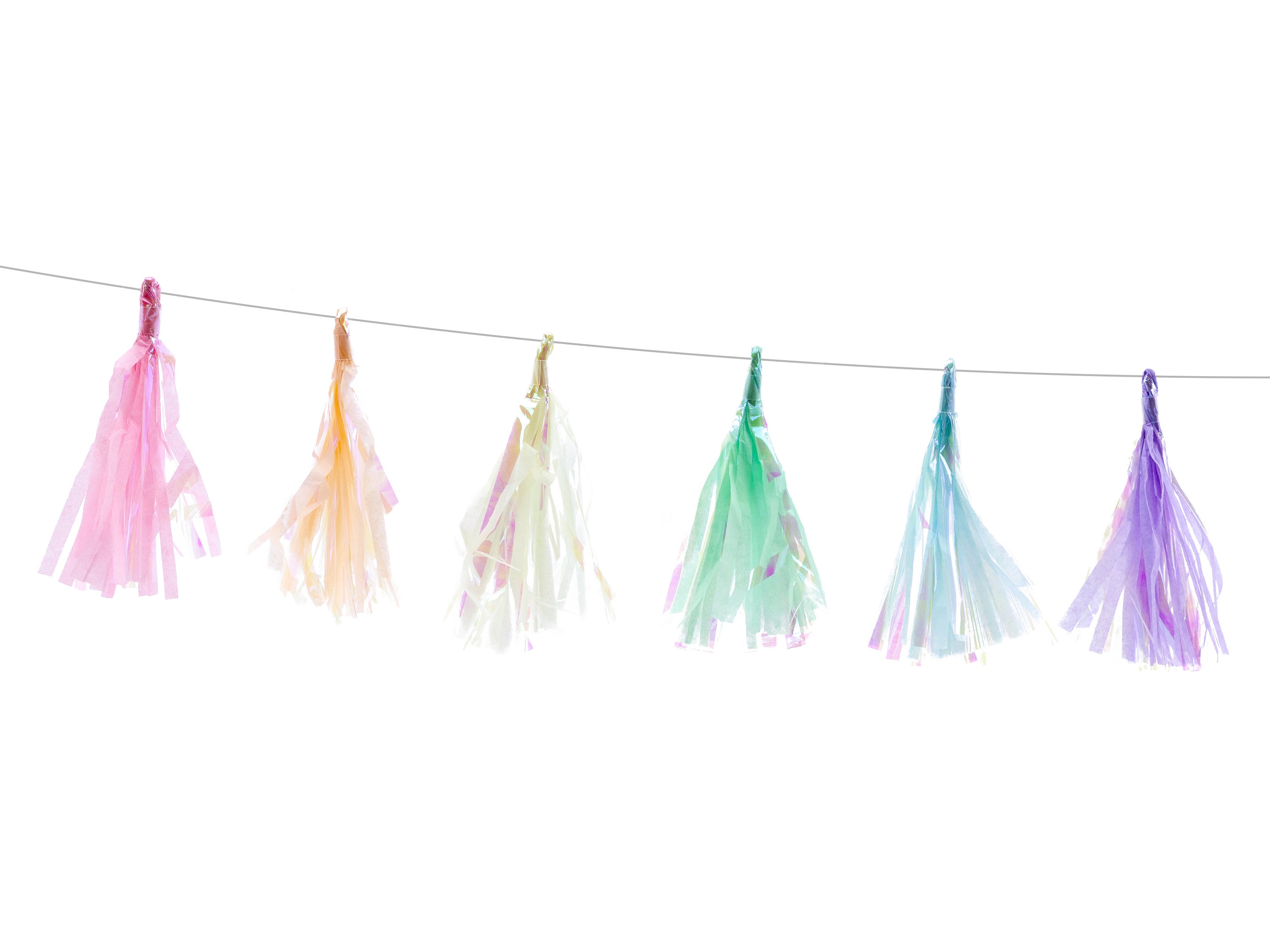 Iridescent Tassel Garland 1.2m/4ft Length 12cm/4.7inch Etsy