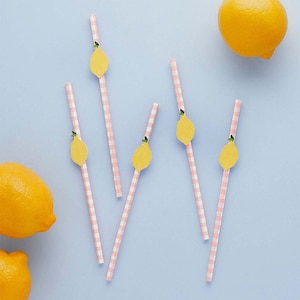 Lemon & Gingham Papierstrohhalme 20er Pack, Papierstrohhalme, Frühlingsparty Essen, Zitronen, Frühling, Sommerparty Dekor, Gingham, Geschirr, gelb