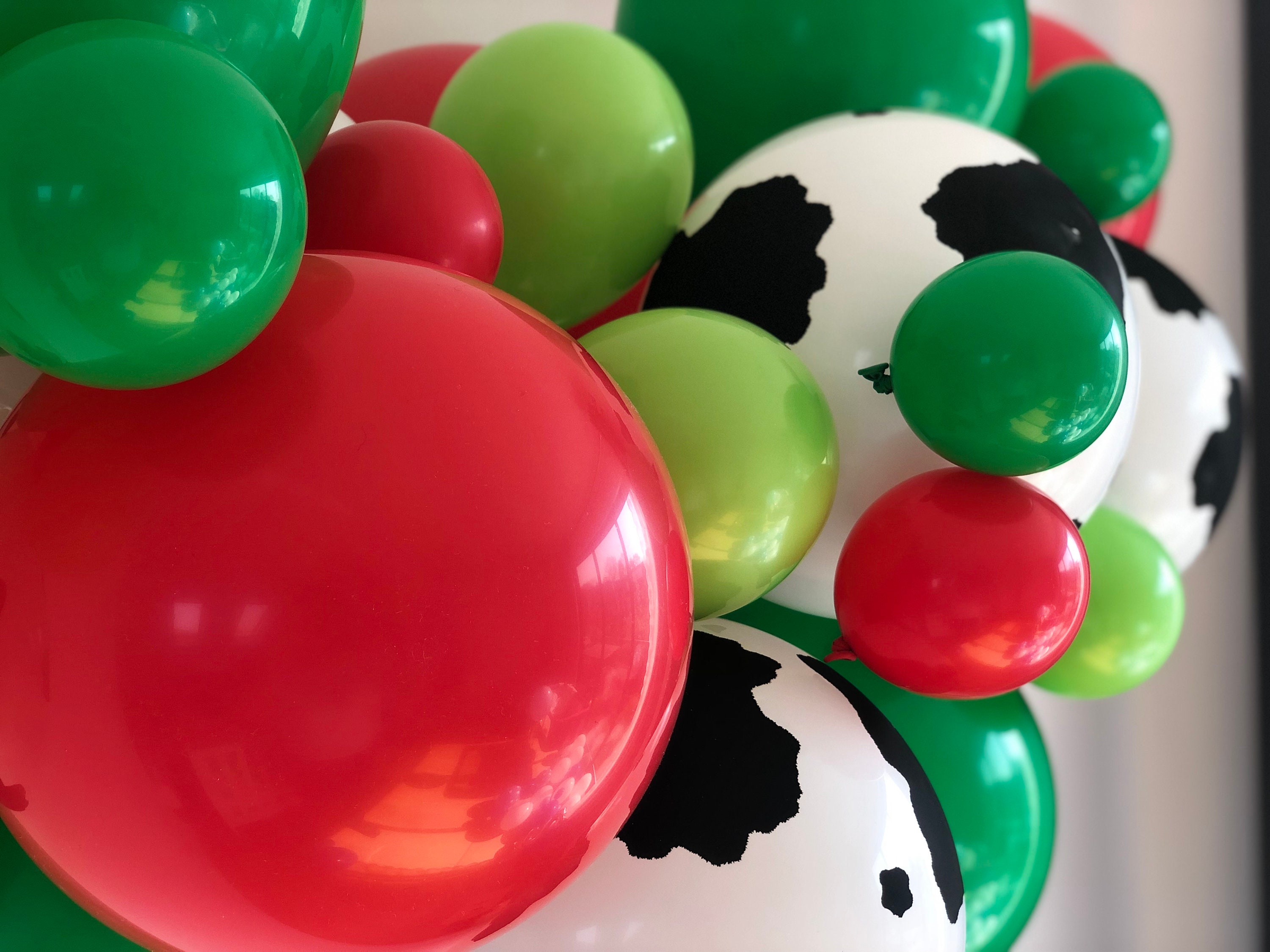 High Quality Balloon Farm Garland Kit Fram Balloon Arch Farm Etsy UK