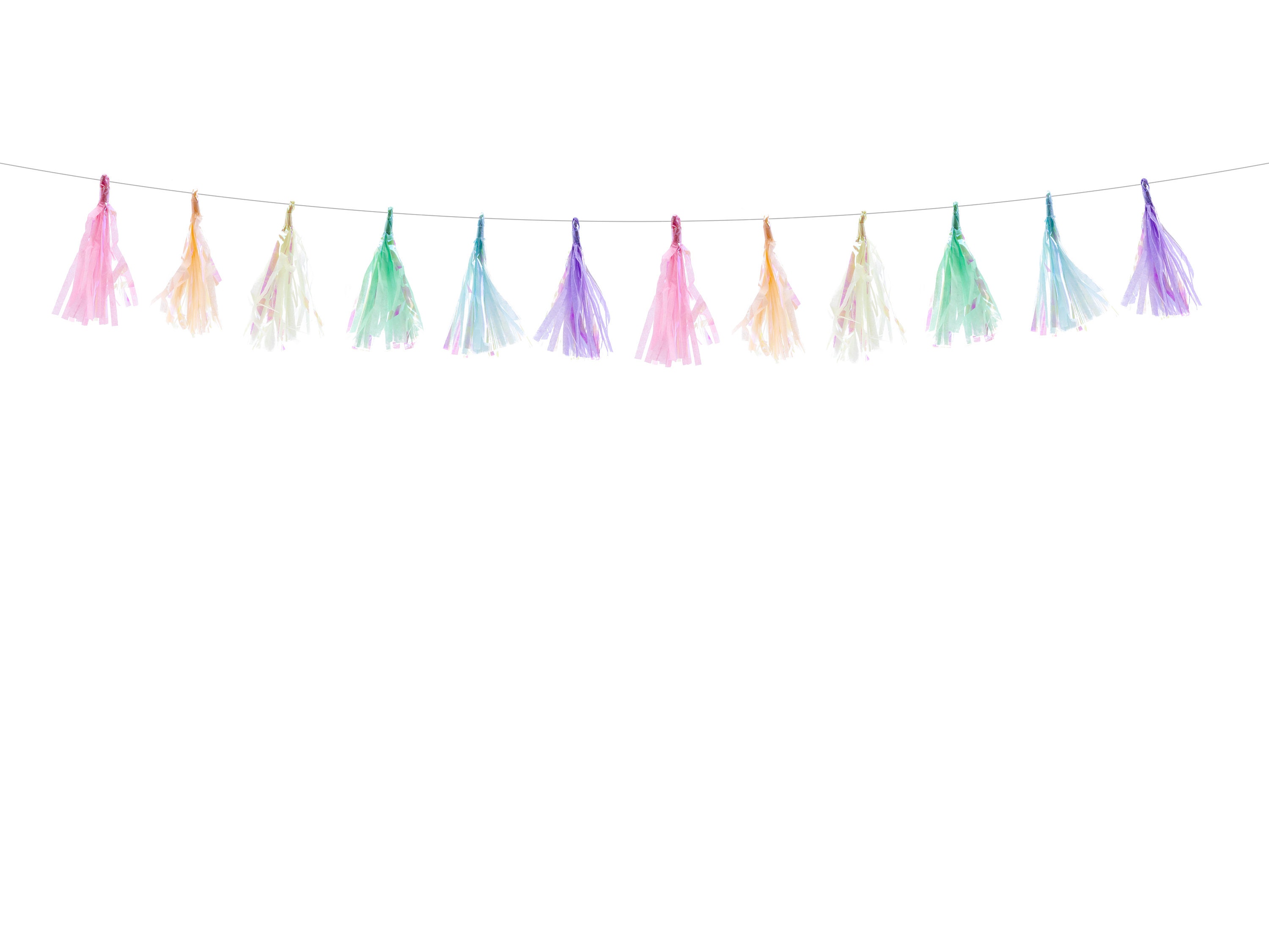 Iridescent Tassel Garland 1.2m/4ft Length 12cm/4.7inch Etsy