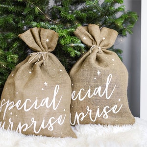 Large &#39;Special Surprise&#39; Christmas Gift Bag with Twine Tie, Christmas Gift Bags, Large Christmas Sacks, Christmas Wrapping, Santa Gift Sacks