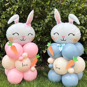 Può includere: Due sculture di coniglietti di palloncini, una rosa e una blu, con il nome "Tara" scritto su ciascuna. I coniglietti tengono carote e hanno un viso bianco con occhi neri e un naso rosa.