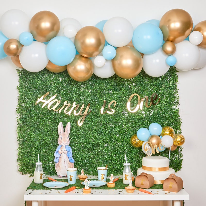 Peter Rabbit Balloon Arch - Etsy