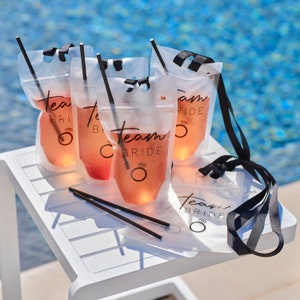 6 Team Bride Hen Party Drink Pouch with Straw and Lanyard, Hen Do Cocktail Pouches, Team Bride Decorations, Hen Party Abroad, Hen Do