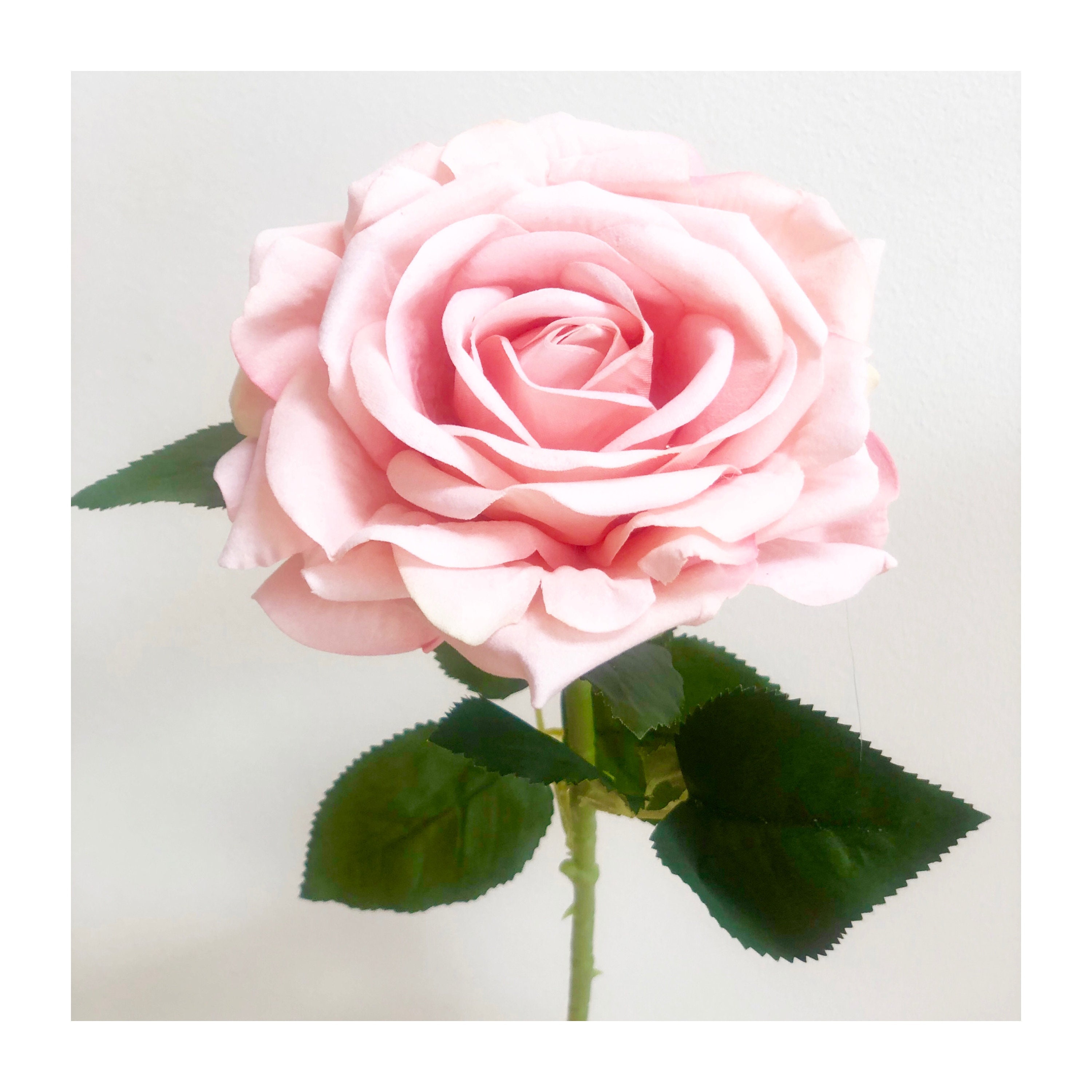 Highest Quality Artificial Roses Available in 4 Colours Etsy UK