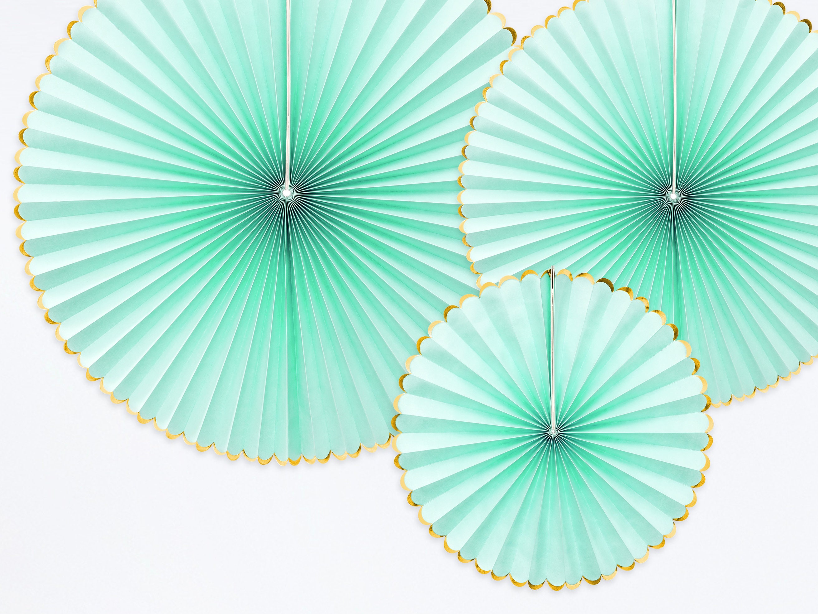 Pastel Green Paper Fans Luxurious Paper Fans Mint and Etsy
