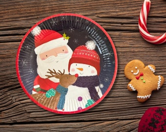 48 Pcs Christmas Paper Plates 9 Inch Santa Disposable Plates Xmas