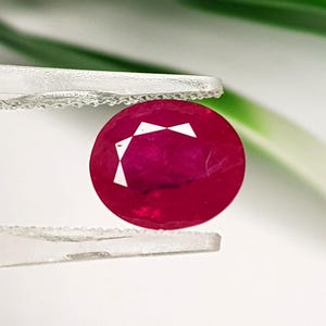 Op de afbeelding: Een levendige, ovaal geslepen robijn met een dieprode kleur en een gefacetteerd oppervlak, stevig vastgehouden tussen de gekartelde punten van een metalen pincet. De edelsteen vertoont interne lichtreflecties en een gepolijst uiterlijk.