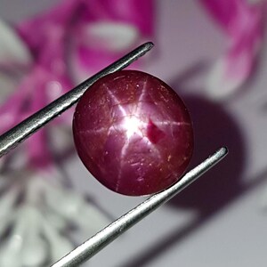 7,17 karat. Naturlig stjärnrubin 10 mm rund. Asterism. Skarpa starka linjer Mozambiquerubin