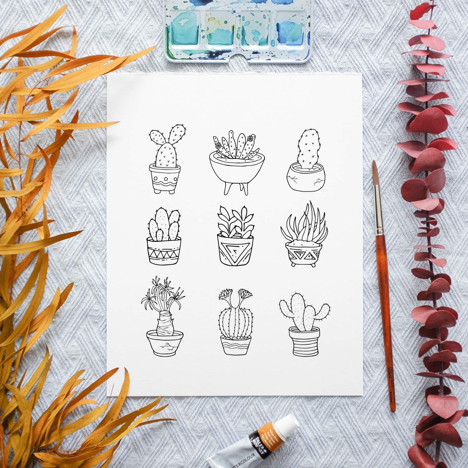Succulent Cactus Coloring Pages Adult Coloring Pages Cacti Etsy