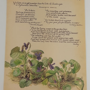 Edith Holden Sweet Violet Quotes by Shakespeare Shelley Rossetti Botanical Print