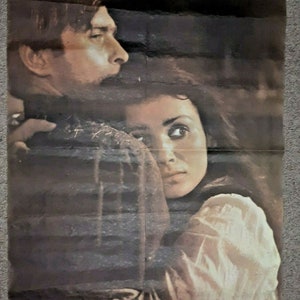 Wierna Rzeka The Faithful River Polish Movie Poster  1980s Film Vintage