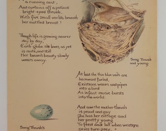 Édition vintage d'oeufs de grive musicienne et de poèmes Edith Holden