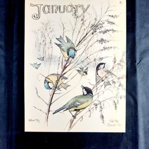 Puede incluir: Una ilustración vintage de carboneros azules y un carbonero común posados en las ramas de un arbusto. Las aves están representadas en un estilo realista con plumas y marcas detalladas. La ilustración se titula "Enero" y presenta el texto "Blue Tits" y "Cole Tit Great Tit".