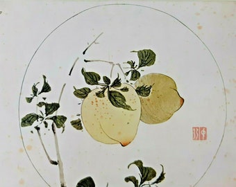 Two Peaches on a Branch After Ko Chung-hsuan Vintage Colour Print 1950s