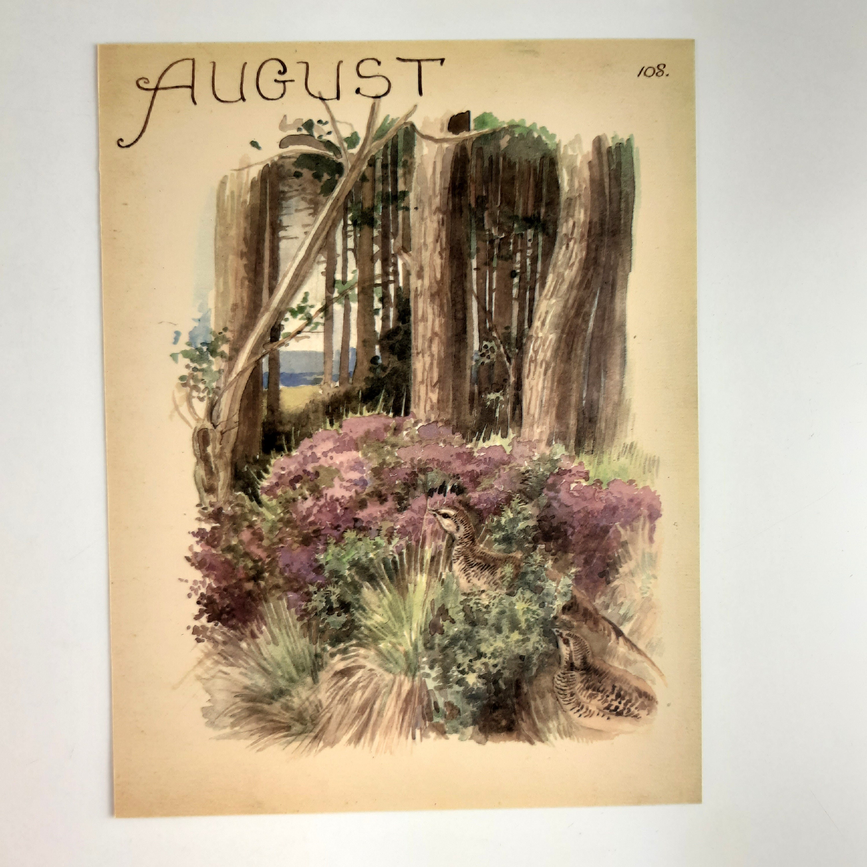 Edith Holden August Wood Forest Botanical Print - Etsy