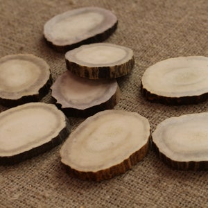 Deer Antler Slices - Medium Size - 40 mm diameter - Deer Antler For Crafts