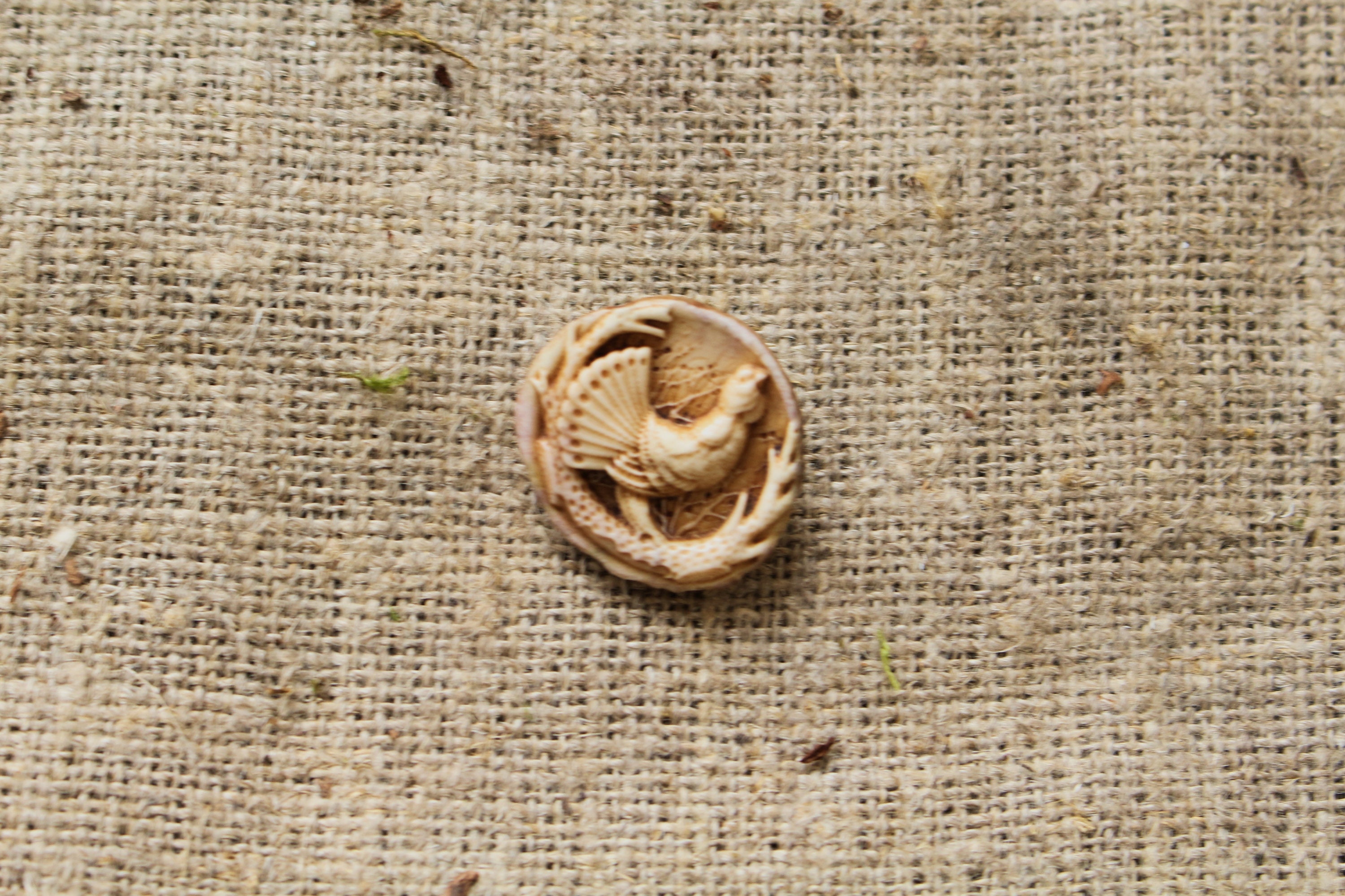 Handmade Antler Buttons Antler Buttons Elk Horn Buttons Etsy UK