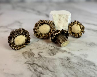 Roe Deer Antler Burr Knob | Rustic DIY Handle, Natural Decor