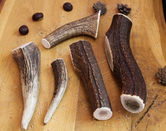 Natural Deer Antler Chews - Full Pieces For Dogs - Long-Lasting Chew for Aggressive Chewers