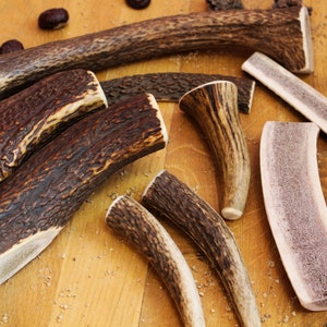 Deer Antler Dog Chews 2.2 Lbs (1 Kg)  - All Sizes For Dogs - Long-Lasting Dog Chew for Aggressive Chewers | Natural Dog Chew