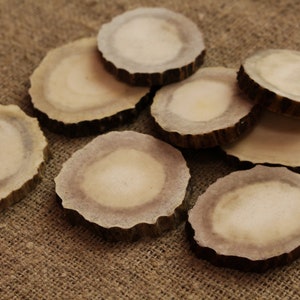 Deer Antler Slices - Large Size - 50 mm diameter - Deer Antler For Crafts