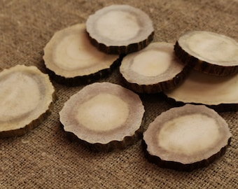Deer Antler Slices (50mm) - Craft Supplies, Jewelry Making