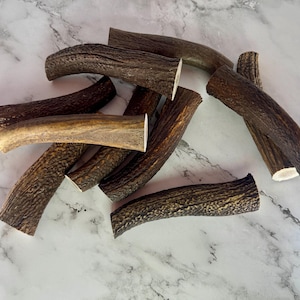 Può includere: Una collezione di corna di cervo marroni tagliate in varie lunghezze. Le corna hanno una superficie ruvida e strutturata e un aspetto naturale. Le estremità tagliate sono bianche. Snack naturale per cani.