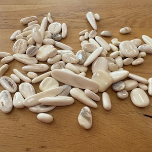Può includere: Una collezione di pietre levigate lisce, bianco sporco e beige, di varie forme e dimensioni. Alcune pietre presentano sottili venature grigie e marroni. Le pietre sono sparse su una superficie di legno marrone chiaro.