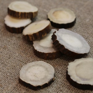 Deer Antler Slices - Small Size - 30 mm diameter - Deer Antler For Crafts