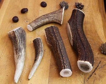 Deer Antler mastica 2,2 libbre (1 kg) - Pezzi interi per cani - Masticazione a lunga durata per masticatori aggressivi / Masticazione naturale per cani