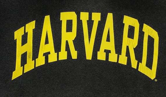 Vintage 90’s HARVARD University Hoodie Sweatshirt… - image 4