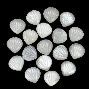 Op de afbeelding: Een verzameling van 18 witte, gegraveerde, schelpvormige edelsteen cabochons. De cabochons zijn in een cirkel op een zwarte achtergrond gerangschikt.