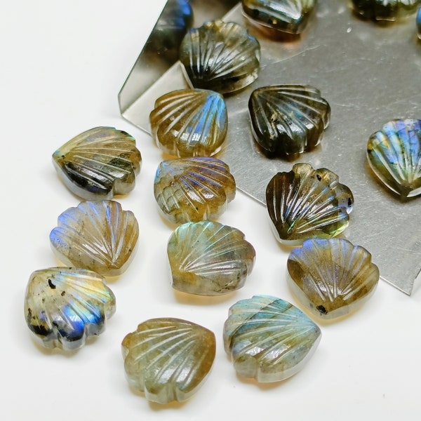 2,3,4,5,6 Pcs Natural Labradorite Shell Shape Briolettes, Hand Carved Shell shape Briolettes, Shell Shape Gemstone, Carved Briolettes, 12 mm